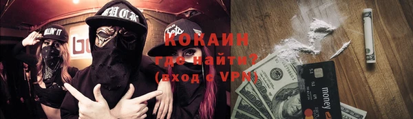 ешки Алексин