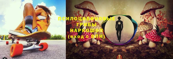ешки Алексин